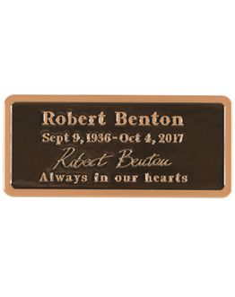 bronze-plate-2-1-8-x-4-7-8-only-text-778700.jpg