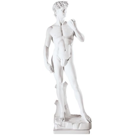 david-michelangelo-h-25-1-2-white-k0918.jpg