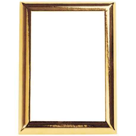 frame-rectangular-wall-mt-h-7-x5-golden-1377u.jpg